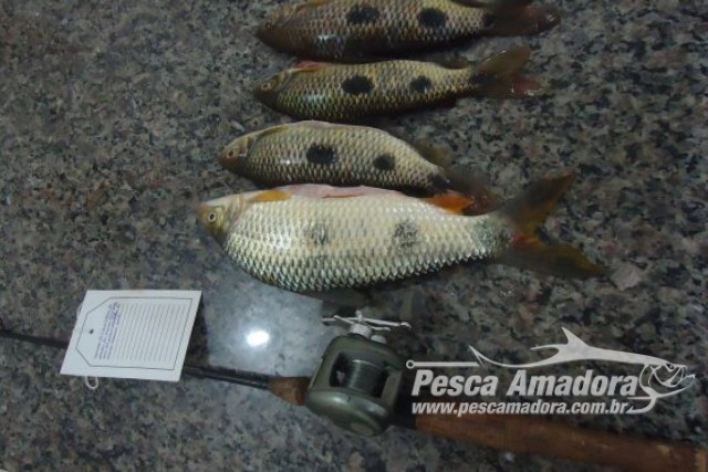 PMA autua pescador amador por falta de licença ambiental em MS