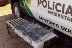 pma-autua-pescador-com-excesso-de-pescado-em-porto-camargo-no-parana
