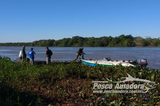 PMA autua quatro em R$ 1.200 por pescar sem licença no Rio Paraná (MS)