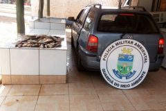 pma-autua-tres-em-r-21-por-transporte-de-30-kg-de-pescado-ilegal-em-ms