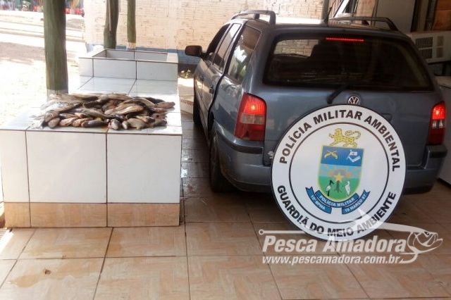PMA autua três em R$ 2,1 por transporte de 30 kg de pescado ilegal em MS