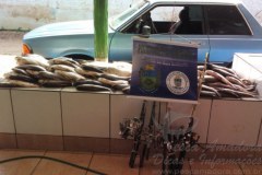 PMA autua tres pessoas e apreende 140 kg de pescado no MS