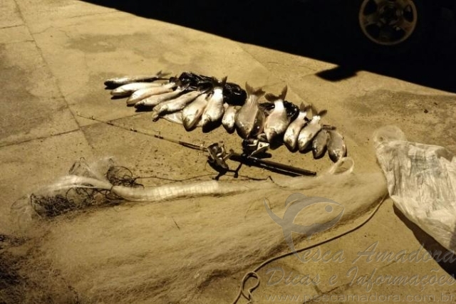 PMA combate pesca ilegal e apreende pescado e tarrafas no MS