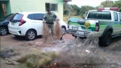 PMA de Londrina-PR apreende 1500m de redes