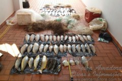 PMA de Sao Gotardo apreende pescado e redes de pesca em Minas Gerais