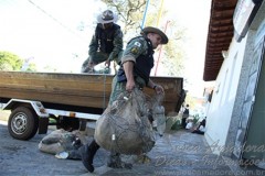 PMA de Uberlandia apreende 750m de redes no Rio Grande