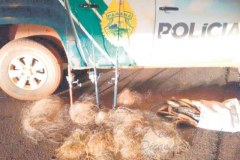 PMA de Umuarama apreende redes e pescado ilegal no Parana