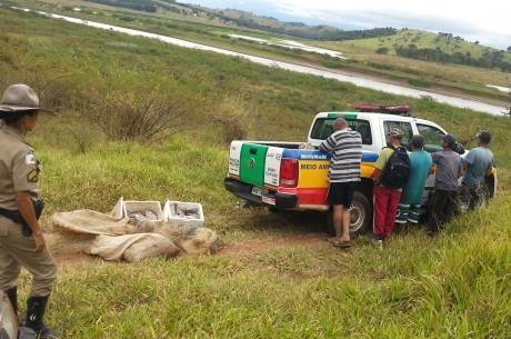 PMA aplica R$ 6,5 mil por pesca predatória e apreende 41 kg de peixe  no Lago de Furnas em Varginha-MG