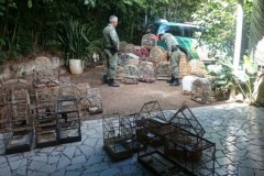 PMA deflagra operacao para coibir crimes ambientais no Parana 2