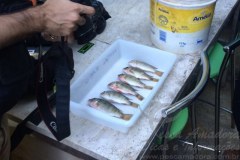 PMA deflagra operacao para combater pesca predatoria no Lago Paranoa-DF 2