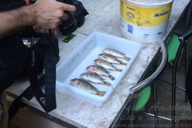 PMA apreende 600 m de redes durante operação “Garatéia” no Lago Paranoá-DF