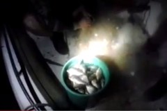 PMA deflagra operacao para combater pesca predatoria no Lago Paranoa-DF