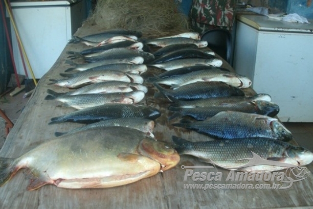 PMA desmonta acampamento ilegal e apreende pescado e apetrechos ilegais no MS