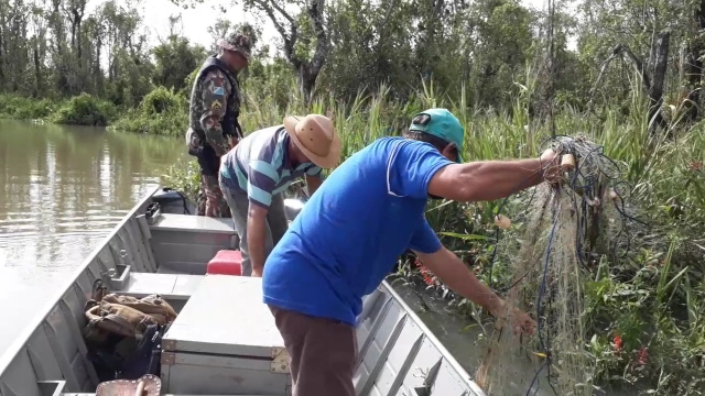 PMA flagra dois infratores praticando pesca predatória no Rio Vitória em Ivinhema (MS)