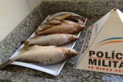 pma-flagra-homem-praticando-pesca-predatoria-no-rio-paranaiba-em-mg