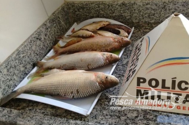 PMA flagra homem praticando pesca predatória no Rio Paranaíba em MG
