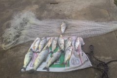 PMA flagra pesca com redes em local proibido no Rio Aquidauana em MS