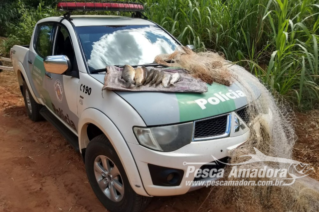 PMA flagra pesca ilegal durante a piracema no Rio Aguapeí em Flórida Paulista (SP)