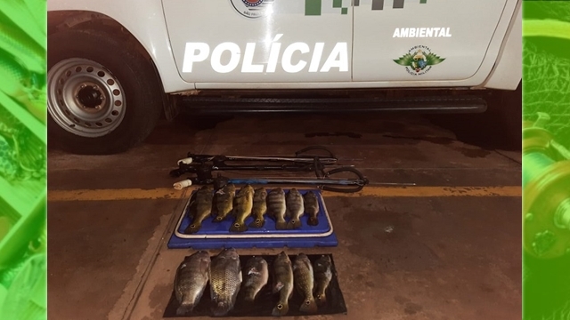 PMA flagra pesca ilegal durante fiscalização em Cardoso (SP)