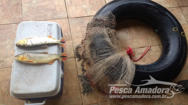 PMA flagra pesca ilegal durante fiscalização no rio Aquidauana (MS)