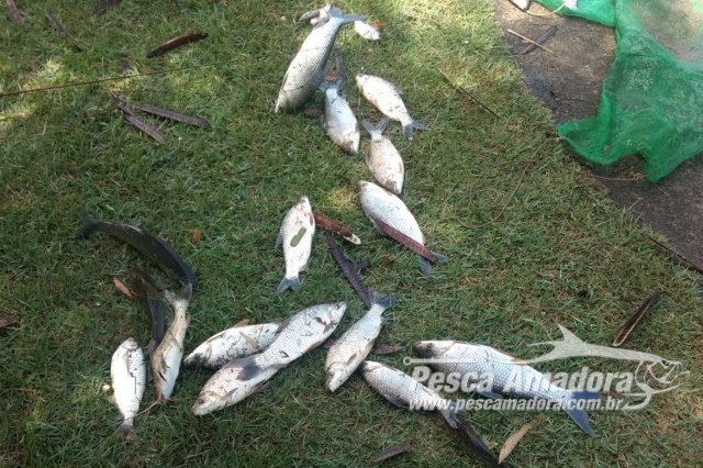 PMA flagra pesca ilegal e aplica R$ 13,7 Mil em multas durante operação  no Rio Piracicaba (SP)