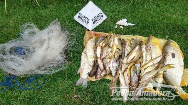 PMA flagra pesca ilegal e apreende 12 kg de pescado e uma tarrafa no Rio da Prata (MG)