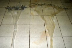 PMA flagra pesca ilegal e apreende duas tarrafas no Rio Inhumas-MS