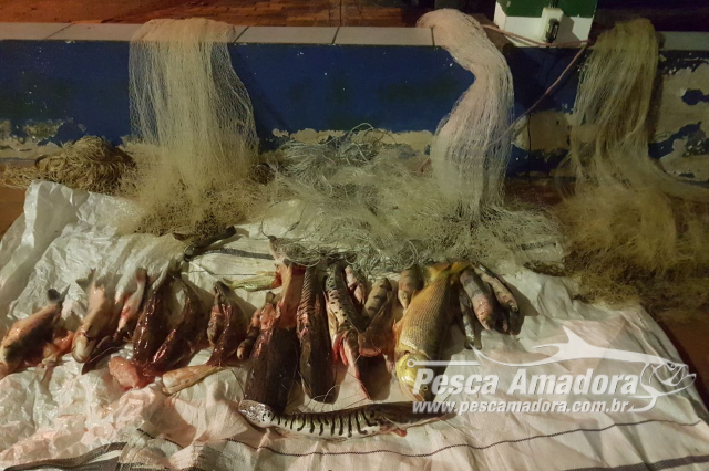 PMA flagra pesca ilegal e apreende pescado e material predatório no rio Taquari (MS)