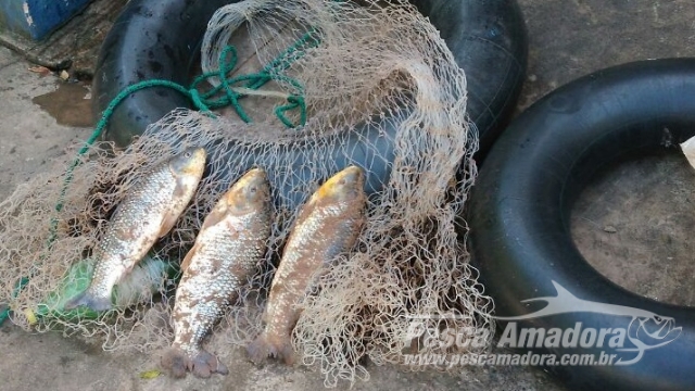 PMA flagra pesca ilegal e autua infrator  por pescar em cachoeira no Rio Aquidauana em MS