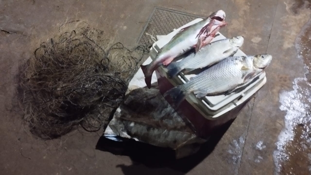 PMA flagra pesca ilegal em acampamento no Rio Brilhante (MS)