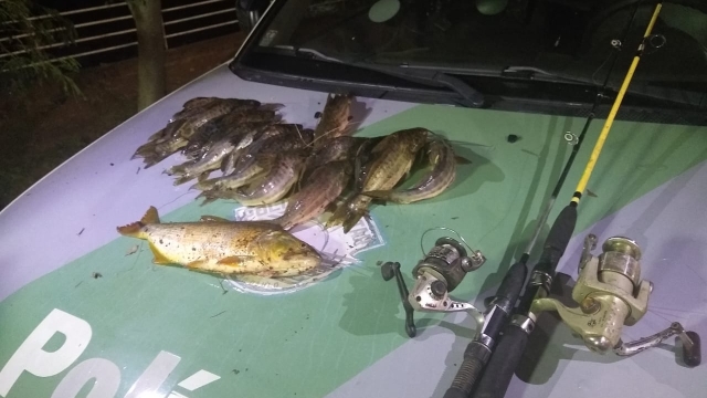 PMA flagra pesca ilegal em local proibido no Rio Piracicaba (SP)
