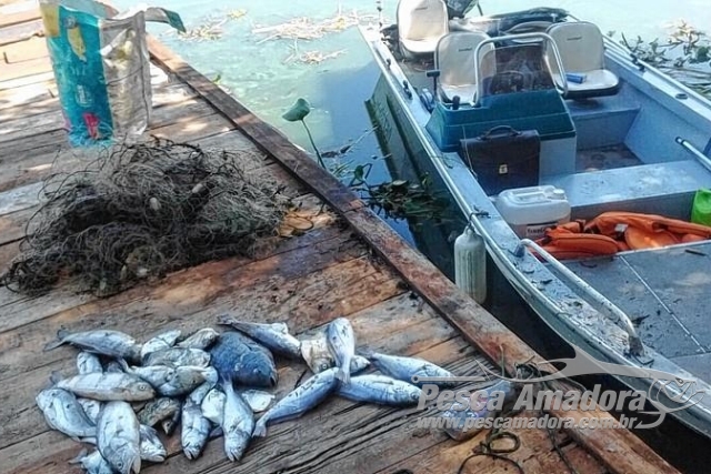 PMA flagra pesca ilegal no Rio Tietê e apreende 200m de redes em Bariri-SP