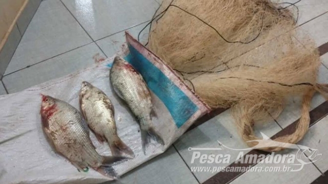 PMA flagra pesca ilegal no Rio da Prata em Presidente Olegário (MG)