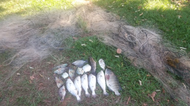 PMA flagra pesca ilegal no rio Formoso em Aparecida do Taboado (MS)