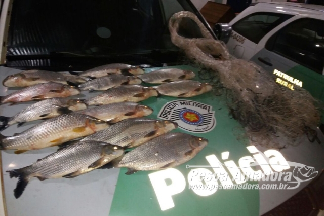 PMA flagra pesca ilegal no rio São José dos Dourados (SP) e autua infratores