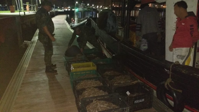 PMA flagra pesca pesca irregular em área de proteção ambiental em Praia Grande (SP)