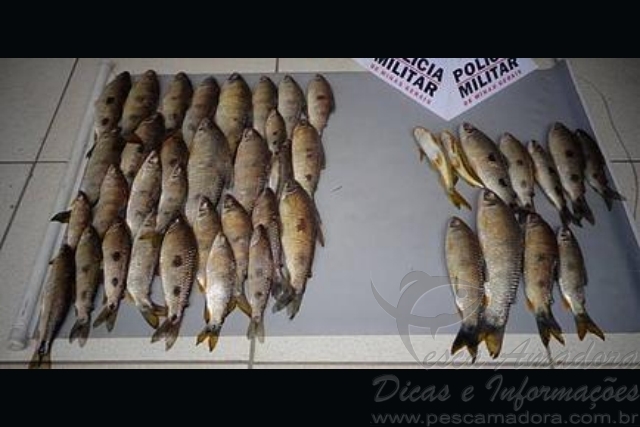 PMA flagra pesca predatória durante a piracema no Rio Grande em MG