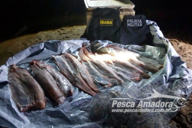 PMA flagra pesca predatória e apreende 60 kg de pescado e 25 tartarugas no Rio Araguaia (MT)