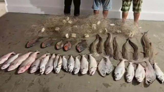 PMA flagra pesca predatória e apreende 72 kg de pescado ilegal em Araguaiana (MT)