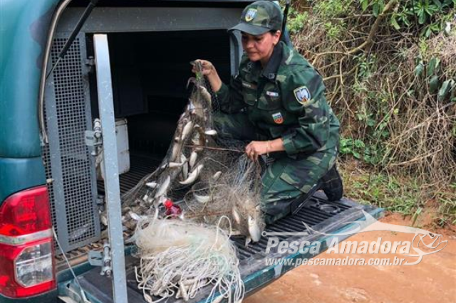 PMA flagra pesca predatória e apreende redes e pescado ilegal em Guaçuí (ES)