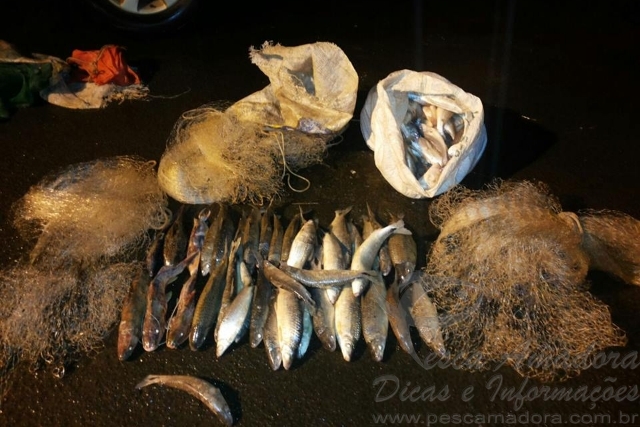 PMA flagra pesca predatória e apreende redes e pescado ilegal no Rio Paranapanema-PR