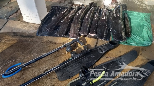 PMA flagra pesca subaquática ilegal e multa infrator em R$ 2.180 Mil no Rio Paraná (SP)