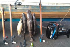 pma-flagra-pesca-subaquatica-ilegal-e-prende-dois-no-rio-grande-em-sp-2