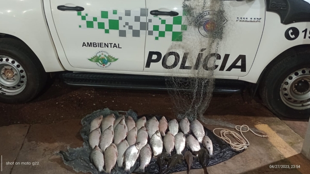 PMA flagra três pescadores praticando pesca ilegal no rio São José dos Dourados em Magda (SP)