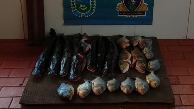 PMA flagra turistas transportando pescado ilegal no Pantanal (MS)