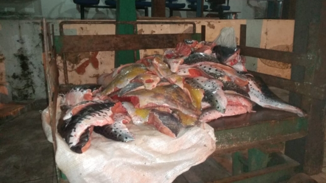 PMA já autuou 104 pescadores em R$ 151 mil em quatro meses de fiscalização no MS