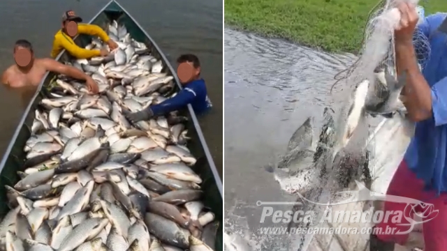 PMA multa em R$ 123,7 Mil grupo que filmou 966 kg de pescado ilegal no Rio Piracicaba