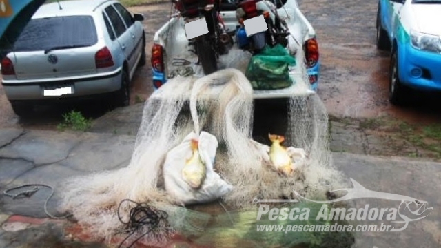 PMA multa grupo em R$ 6,7 mil por pesca ilegal no rio Aquidauana (MS)