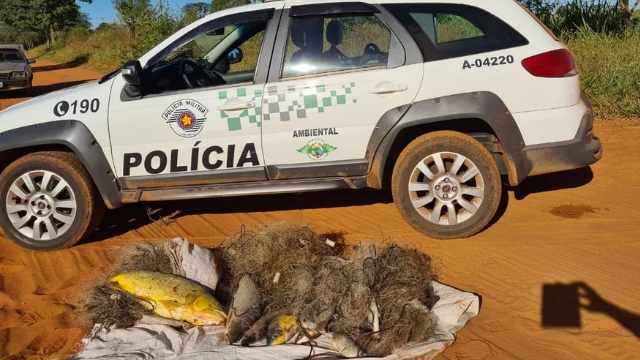 PMA multa infratores em mais de R$ 8 mil por pesca predatória em Floreal (SP)
