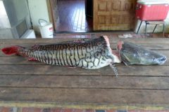 pma-multa-tripulante-de-embarcacao-cargueira-por-pesca-ilegal-no-rio-paraguai-em-ms